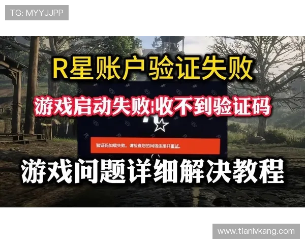 问鼎在线网页版登录遇到验证码错误的解决方法与预防措施